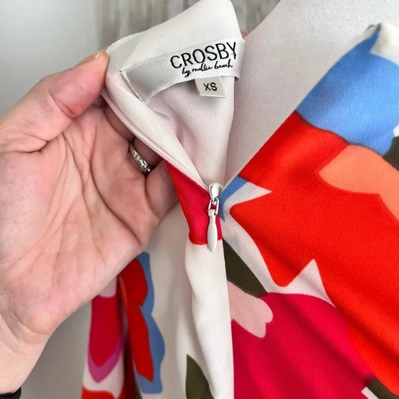 CROSBY by Mollie Burch Dress - Picture 4 of 4